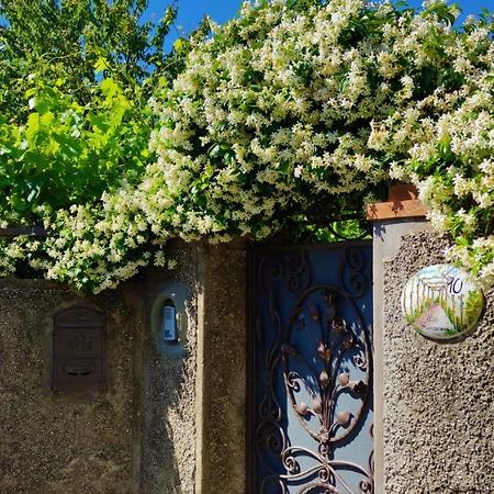 La Primavera Anacapri (Isola di Capri) Exterior foto
